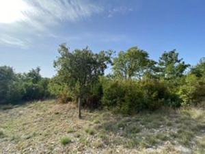 Maslenica -građevinski teren 1241 m2