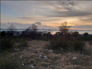 Zadar, Diklo, poljoprivredno zemlji&scaron;te 1503 m2