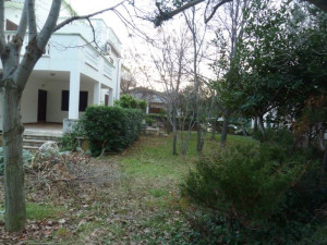 VRSI-MULO-kuća s apartmanima i velikom okućnicom