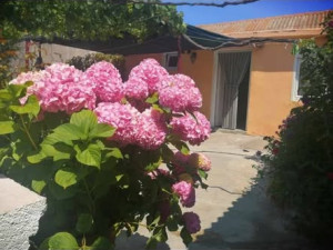 Ljubač, kuća katnica 