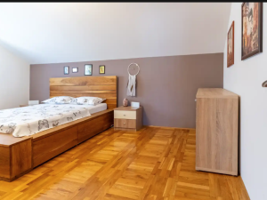 Karin Gornji, prekrasna kuća sa dva stana i velikom okućnicom