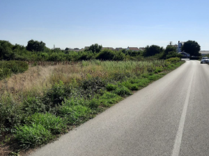 Zemunik Donji, građevinsko zemlji&scaron;te 750 m2
