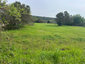 Suko&scaron;an, 2500 m2, prvi red uz more, idealno za investiciju