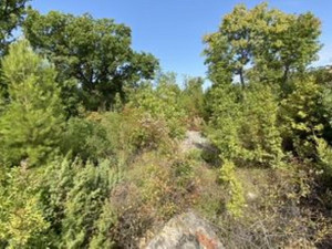 Maslenica -građevinski teren 1241 m2