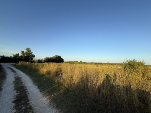 Smilčić, poljopivredno zemlji&scaron;te 11338 m2
