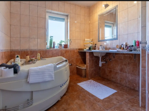 Karin Gornji, prekrasna kuća sa dva stana i velikom okućnicom