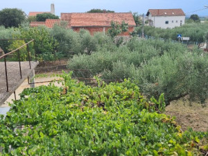 &Scaron;kabrnja, kuća sa pomoćnim objektom, ukupno 1994 m2 u centru mjesta , jedinstvena prilika!!