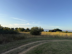 Smilčić, poljopivredno zemlji&scaron;te 11338 m2