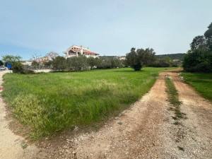 Suko&scaron;an, 2500 m2, prvi red uz more, idealno za investiciju