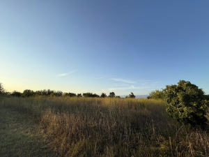 Smilčić, poljopivredno zemlji&scaron;te 11338 m2