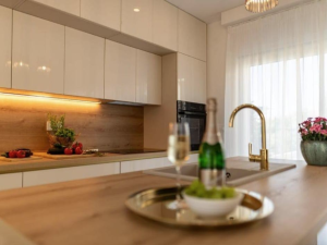 PRIVLAKA, A DUPLEX APARTMENT WITH A SWIMMING POOL IN A NEW BUILDING