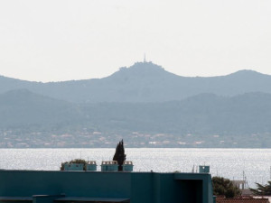 Zadar-Mocire-Villa sa 6 apartmana 