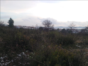 Zadar, Diklo, poljoprivredno zemlji&scaron;te 1503 m2